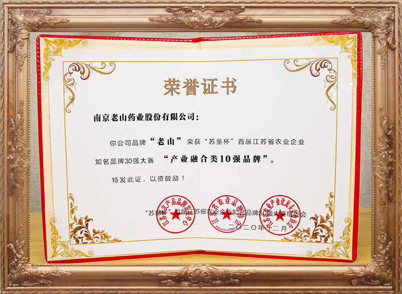 2020年12月產(chǎn)業(yè)融合類10強品牌
